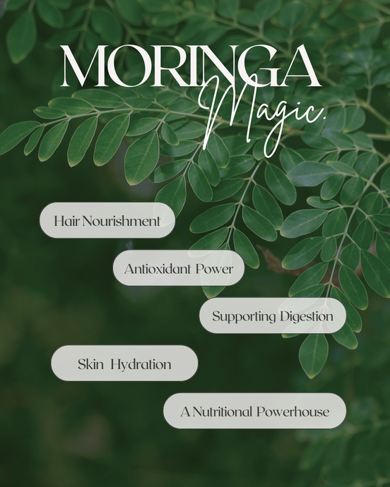 Wellness  Inside and Out: The Incredible Benefits of Moringa